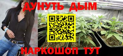 МДПВ Канаш