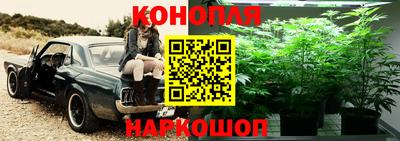 стаф Кандалакша