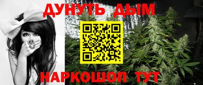 стаф Кандалакша