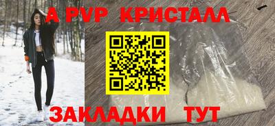 стаф Кандалакша