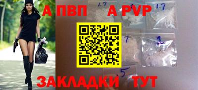 стаф Кандалакша