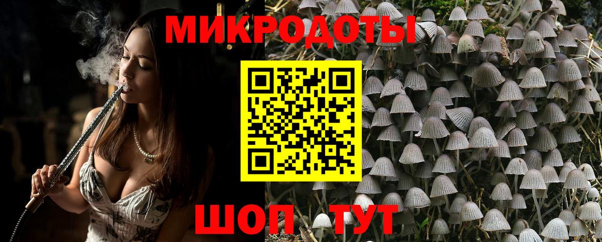 Псилоцибиновые грибы Psilocybine cubensis Красноармейск