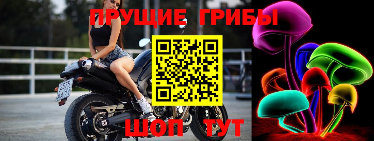 Красноармейск  закладка  Галлюциногенные грибы Psilocybine cubensis  Вход с VPN  Галлюциногенные грибы Psilocybine cubensis 